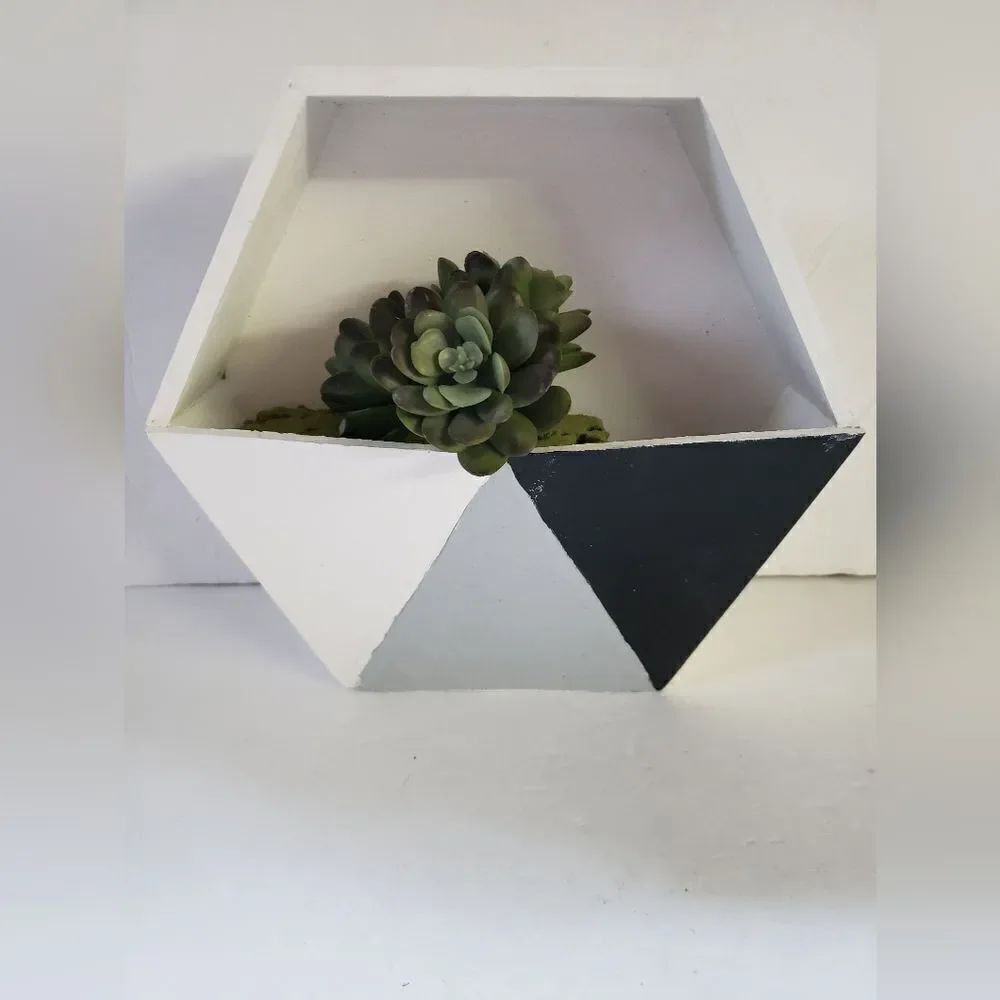 Handpainted Decorative Box w/Succulent - Picture 2 of 7